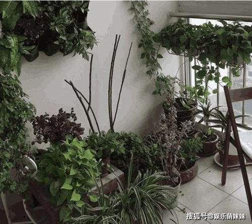 基于五行生克与个人喜好的选择策略