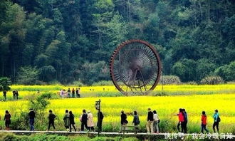 婺源：油菜花海与游客大军