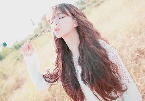 狗年生肖：忠诚守护与甜美陪伴的情感投射