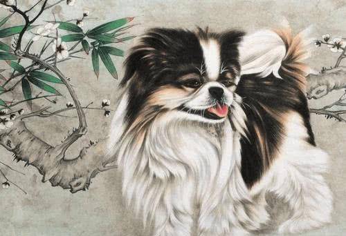 1982年属狗大海水命的人，名字中能体现大海水特质的长尾是？