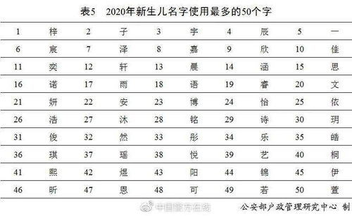 四、火属性——热情还是燃眉之急？