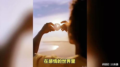 （三） 生态元素与情感净化的效应