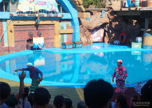 老虎滩海洋公园排队两小时堪鱼五分钟