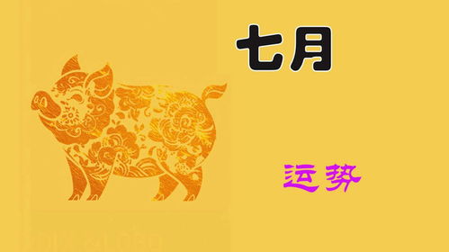 巳蛇篇：收敛锋芒， 沉潜蓄力