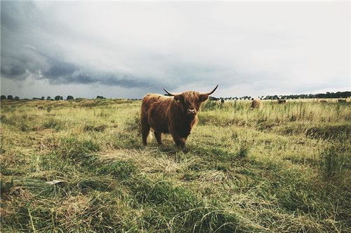 三、 事业与创业