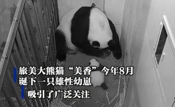 持续蔓延的不安情绪