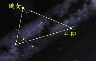 织女星究竟属于哪个星座？