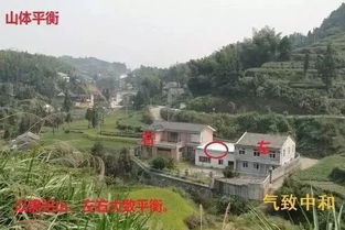 原则三：枯树对老年群体的不利影响及环境净化