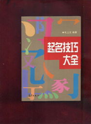 十、潮流前线取名法