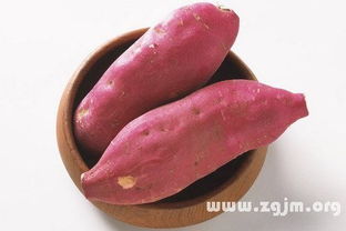 山芋暴富论：土里刨出金元宝