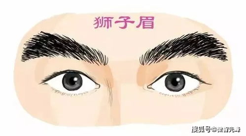 观察与思考：理性分析的基石