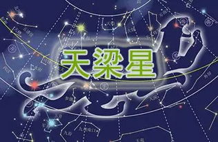 紫微斗数中天梁星位于命宫之性格特点探究