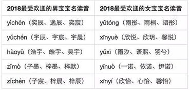 杨羲瑜名字评分分析报告
