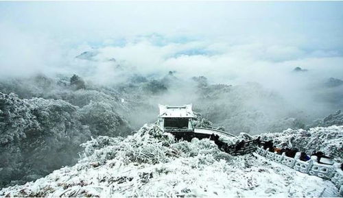 “藏风聚气”原则：平缓的水流与地形优势