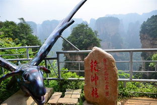 三、 美食：饿不死就行, 但Zuo好心理准备