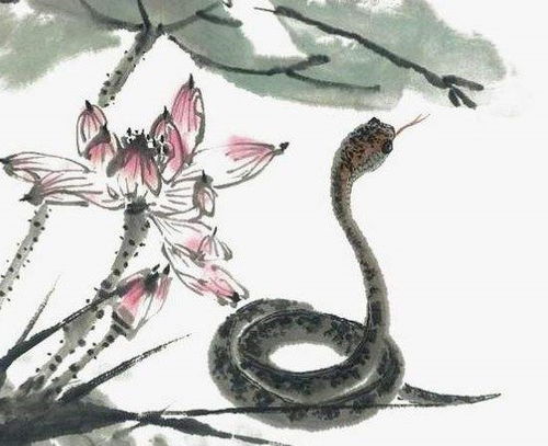 属蛇人2026年财运字母和偏财运日期分别指什么？