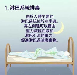 一、  历史渊源与文化内涵解析