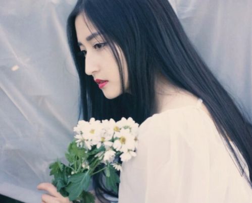 4. 兔年（卯兔）——温柔可爱之气质