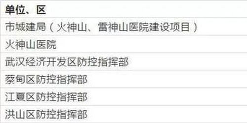1）资金用途细节