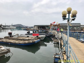 第四天：较小公园开埠区——历史持续发展文化底蕴之旅