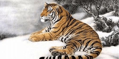 2026年猪狗星座运势大爆炸！看完笑到肚子痛