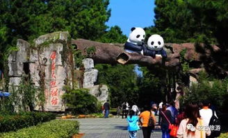安吉竹博园的 “红酒赠送 ”：羊毛出在羊身上 ，  你买的其实是酒