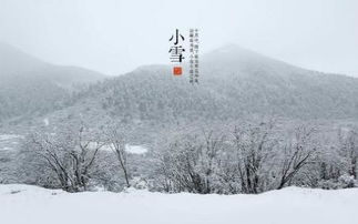 小雪出生之人命运概述及其可塑性探讨