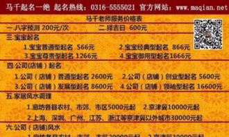 如何从宝起名大全和公司名字免费起名大全中挑选合适的名字？