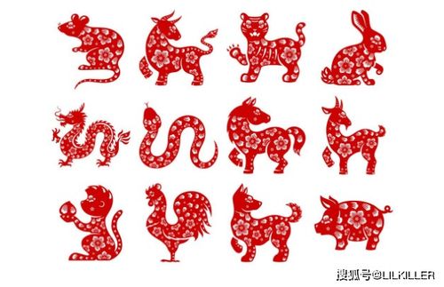 山哥聊十二生肖每日运势，生肖运势每周更新，这具体是什么更新频率和内容？