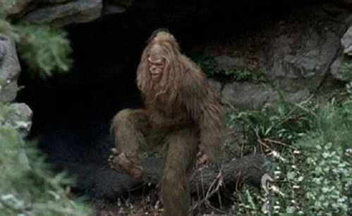 一、 科学考察的历史回顾与现状评估