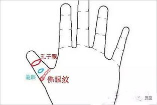 一、 佛眼纹的形态定义与辨识标准