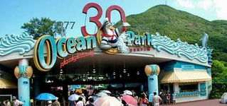 半价票也是个大坑？