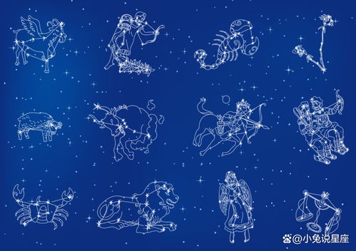 金牛座和处女座配对是否合适呢？