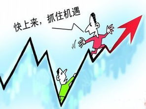 事业发展：竞争激烈与机遇交织