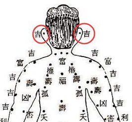 三、  财富与事业的实证分析：运势显化的具体路径