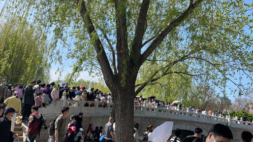 #北京动物园# — 动物与游客同频共振的大杂烩！