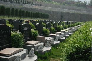 三、  空间布局与外部环境的综合考量