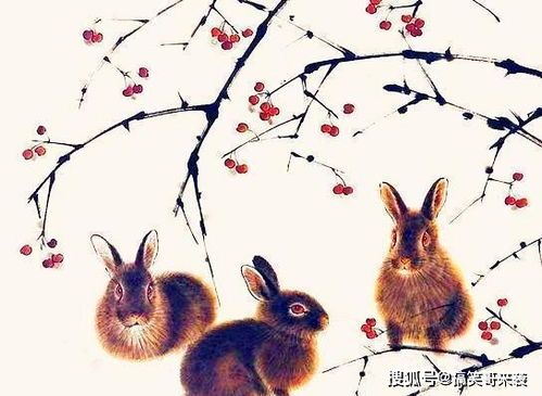 好运连连的属兔人，他们的幸运物件究竟是什么呢？