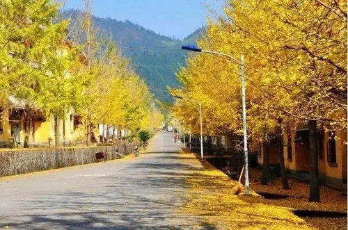 广东南雄帽子峰林场（南方版）