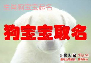 黄姓带林字女孩名字，狗年林字宝宝叫什么好？