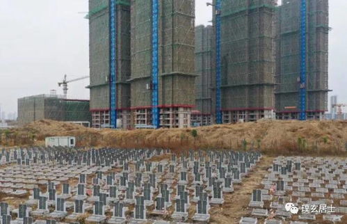 一、  风水学视域下的阴气煞气与家运衰退