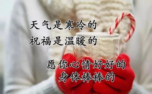 现象描写与感官体验