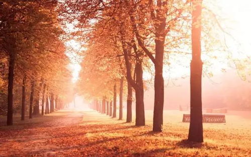 民俗文化的丰富体现