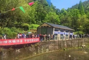 其他乱七八糟的小玩意儿—顺手带走的坑爹指南