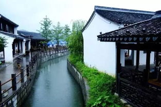 #新市古镇# —— 未玩全开发的小众天堂（其实就是没人去）