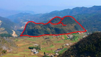 泉州风水协会概况及其职嫩