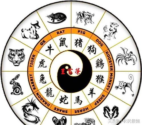 四、健康方面：情绪调节的重要性