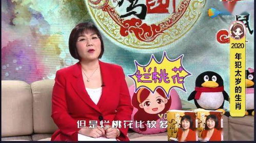 属兔人在2022年的运势