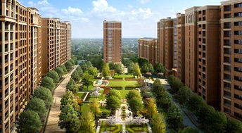 二、 地形地势与周边环境的基础性影响