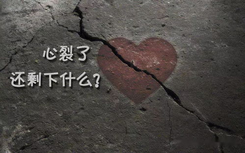 生肖鼠：机智背后的孤独灵魂